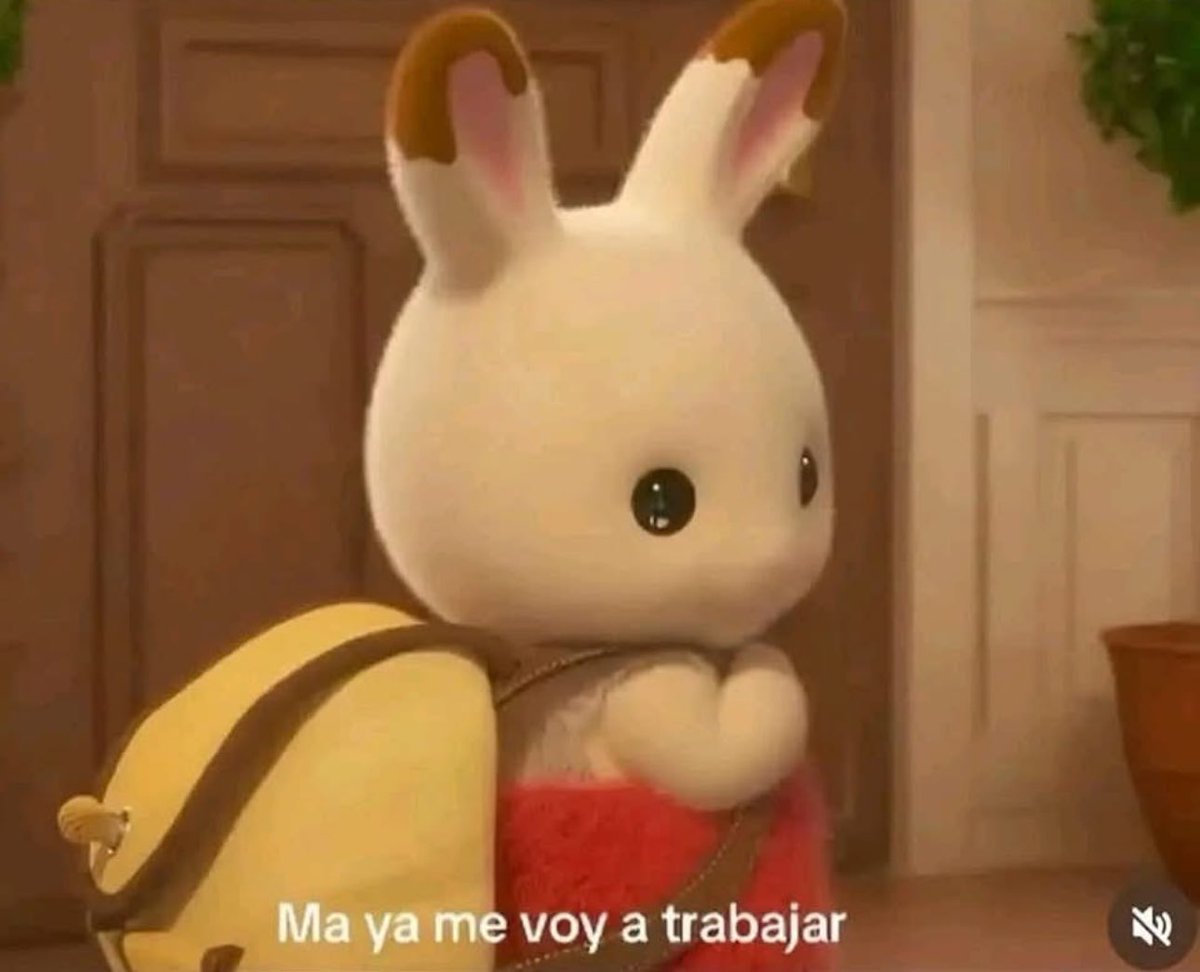 Lit yo todas las mañanas rumbo a ser un adulto chiquito (de verdad me veo así llegando al trabajo jajaja)