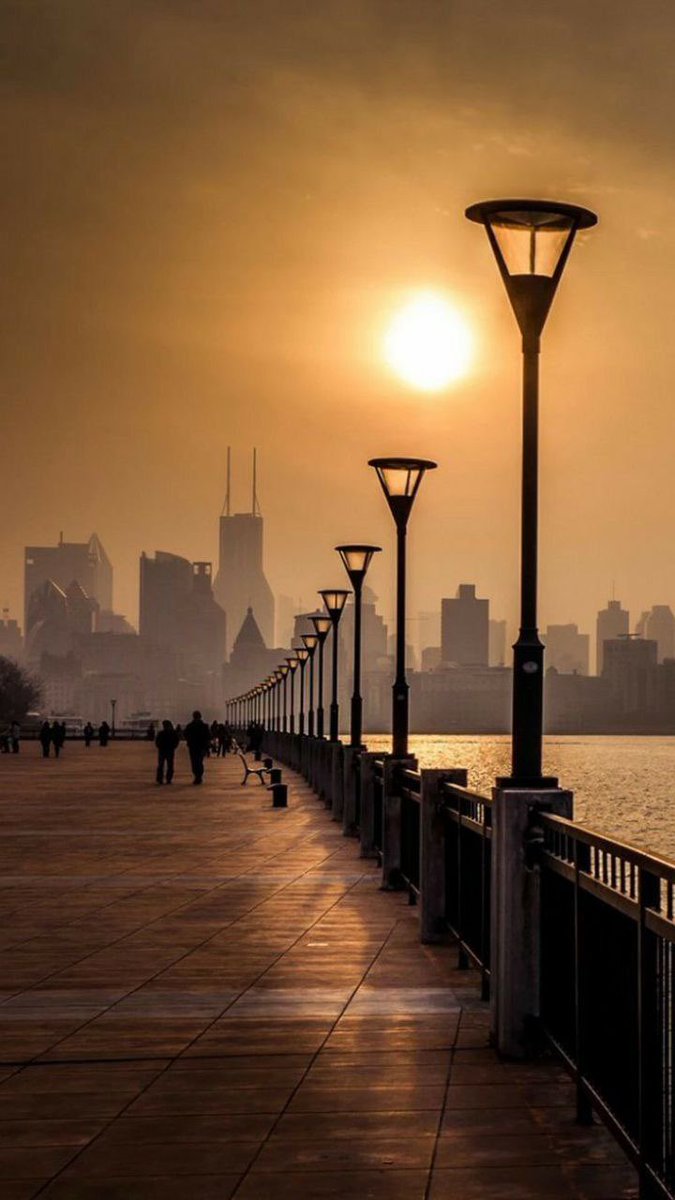 ابو فراس 🕊 tweet media