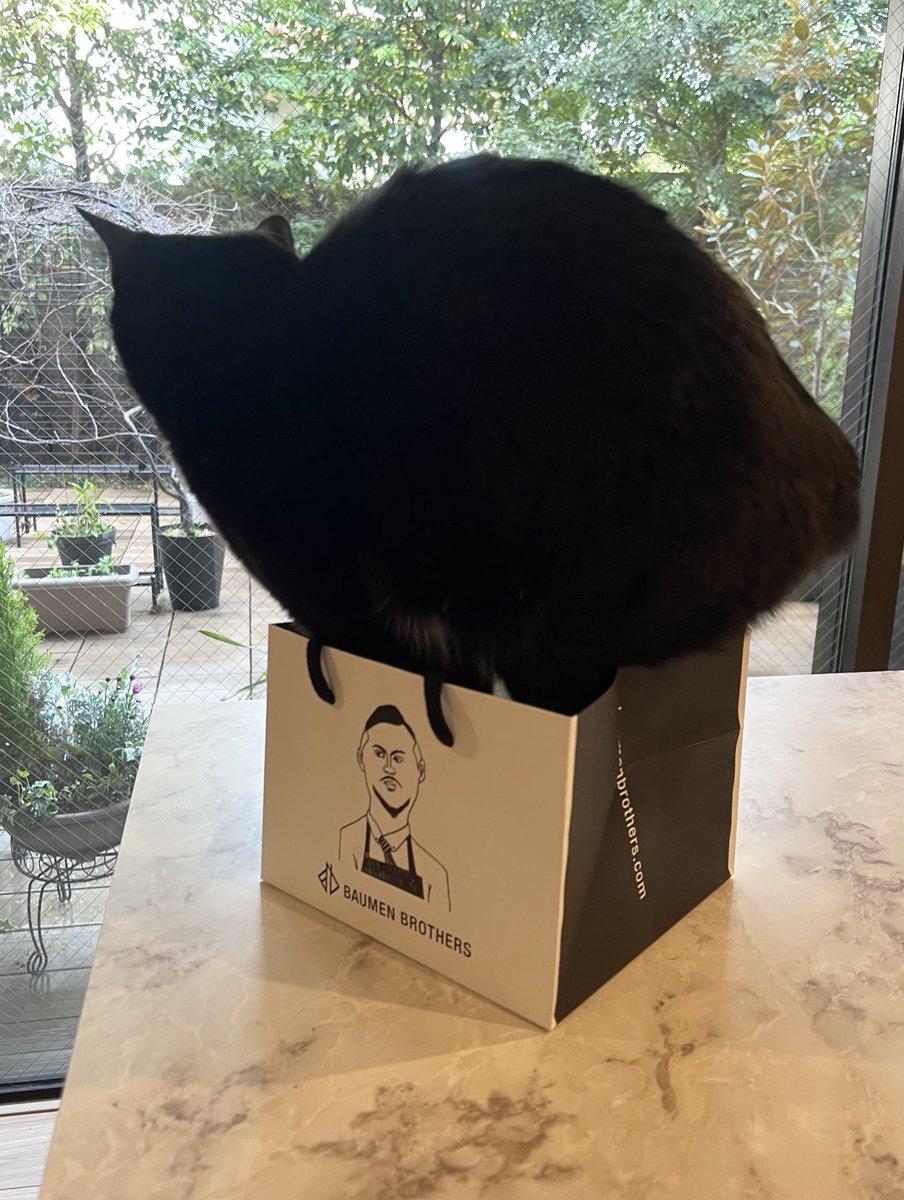 まもなく6歳になるんだからそろそろ自分の寸法把握しようか…