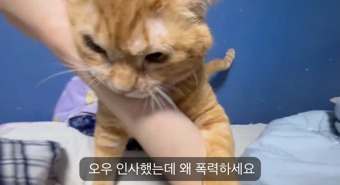 팔윈버키존워커한테이러지않앗나