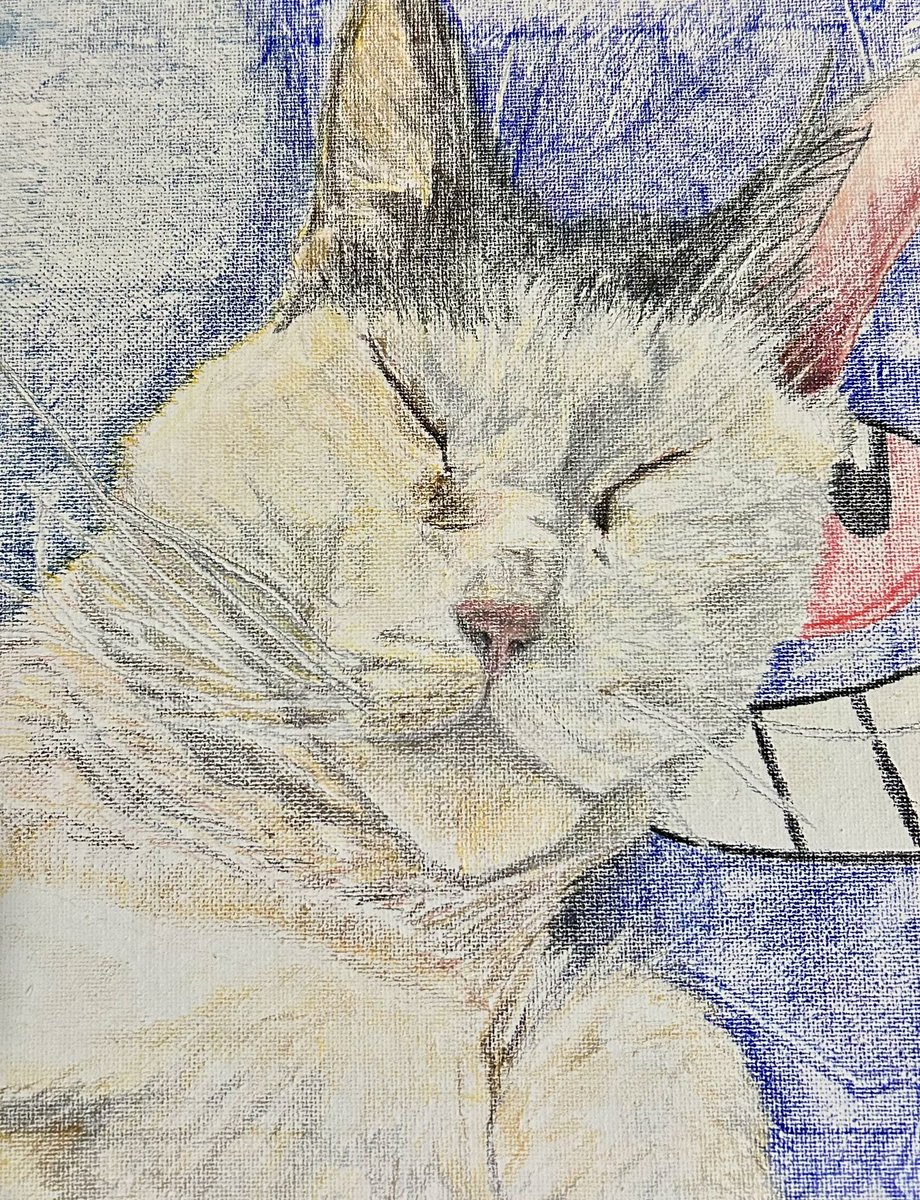 JDarkside14's tweet photo. Nae Cuddling Gengar. Colored pencil on canvas  #Pokemon #art #coloredpencil #canvas https://t.co/QON9CLo4xM