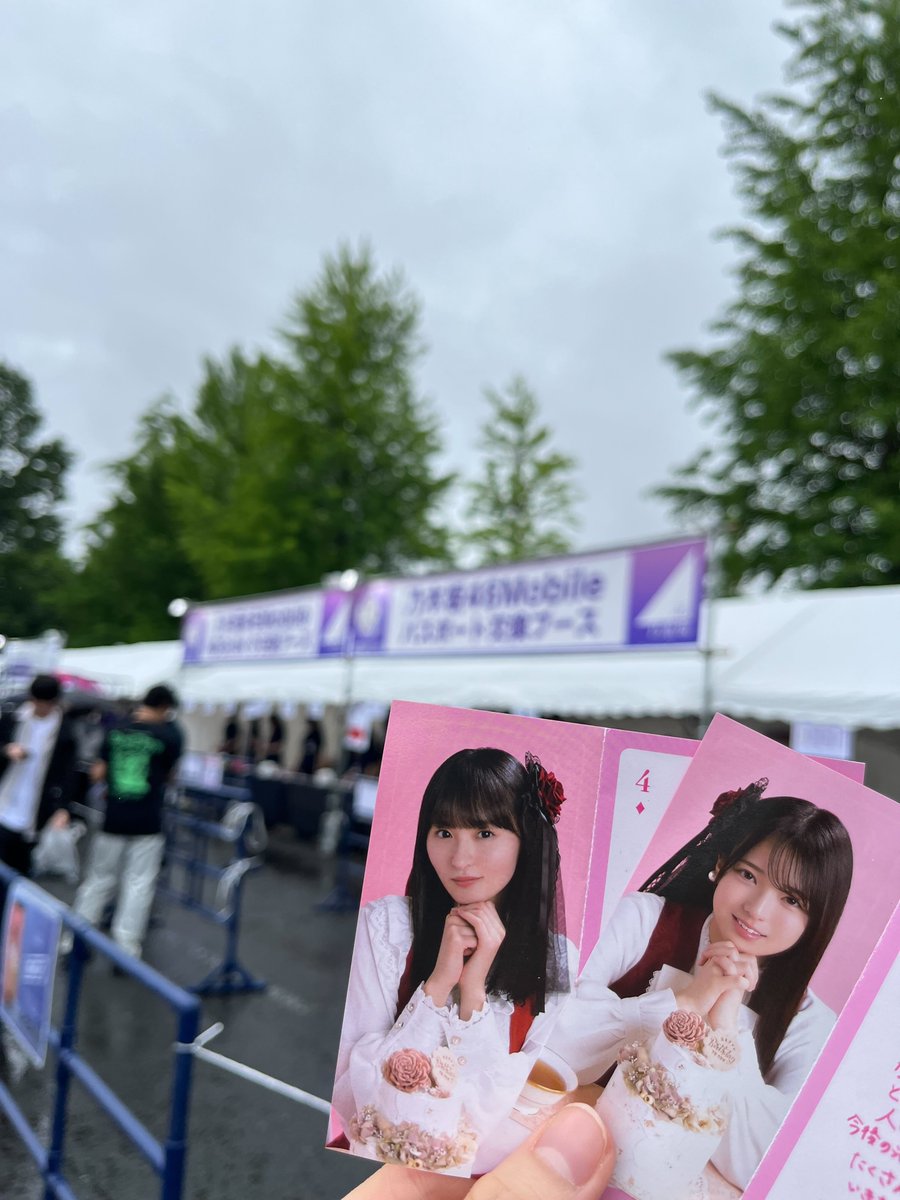 乃木坂46 のぎめくり NOGIめくり コンプリートセット 乃木坂46 のぎめくり NOGIめくり コンプリートセット