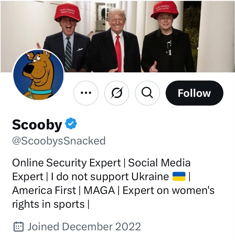 DaughterAmRev's tweet photo. @ScoobysSnacked @Bricktop_NAFO Checked “scooby” acct profile &amp; post history:  it claims “online security expert”+ does “not support Ukraine”.  Embedded bot.
Block https://t.co/yypGChDhWG