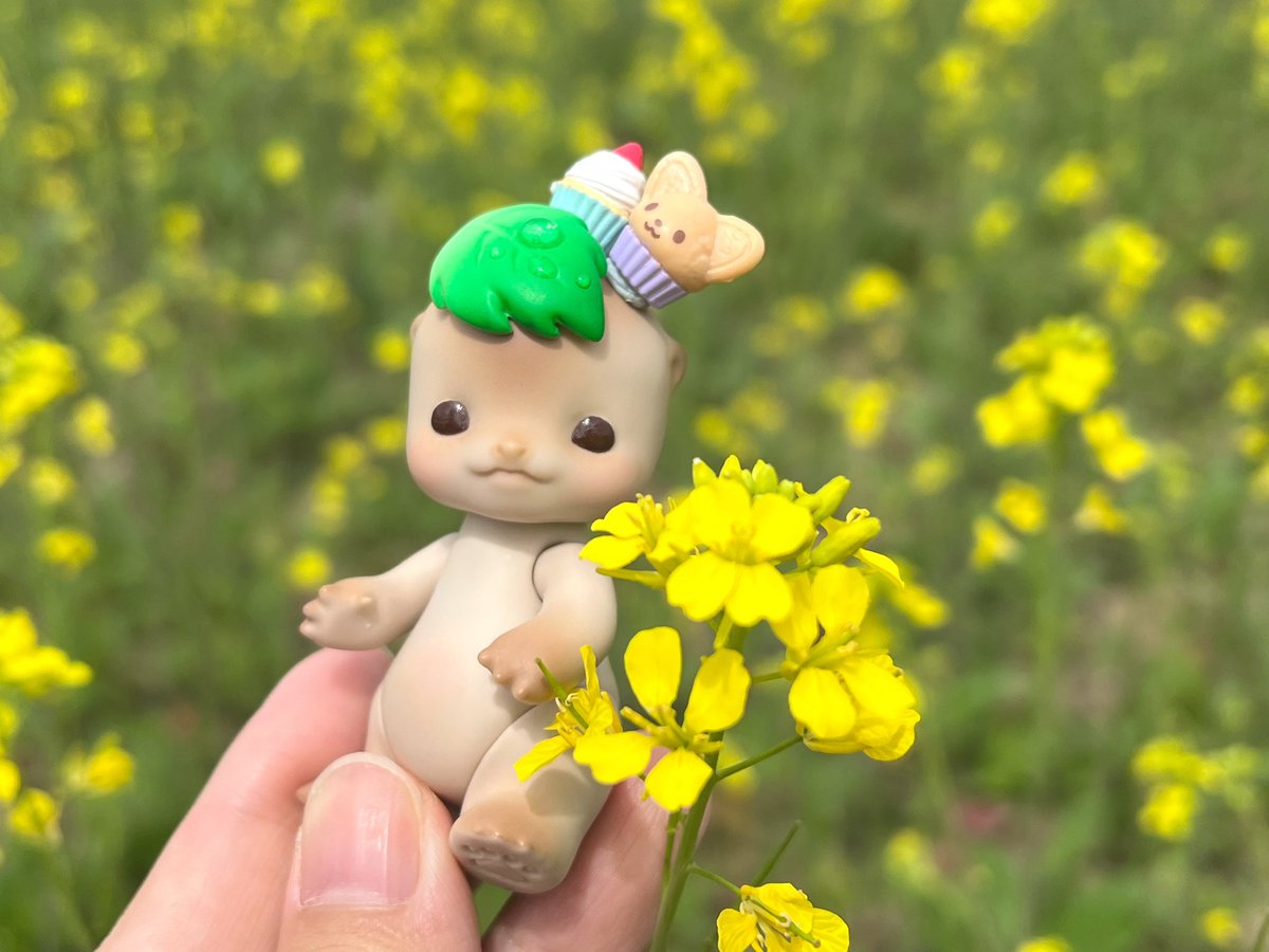 수달이데리고 산책중☘️