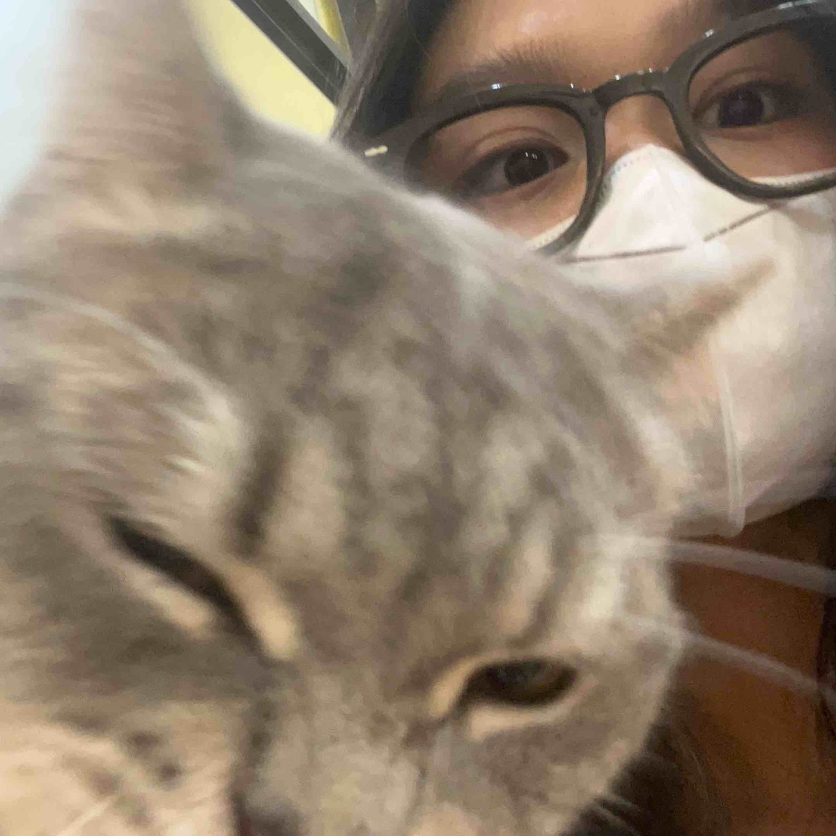 Dinoo✨ tweet media