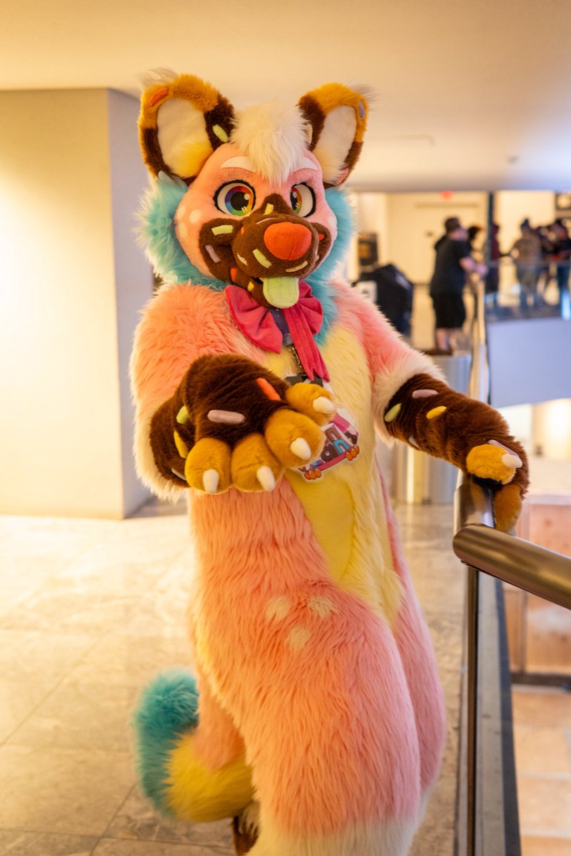 Duncan! 🧁🍩 🔜 Furlandia tweet media