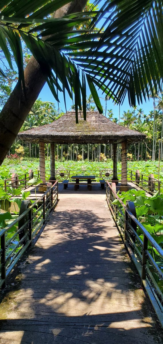 This and some Balatro