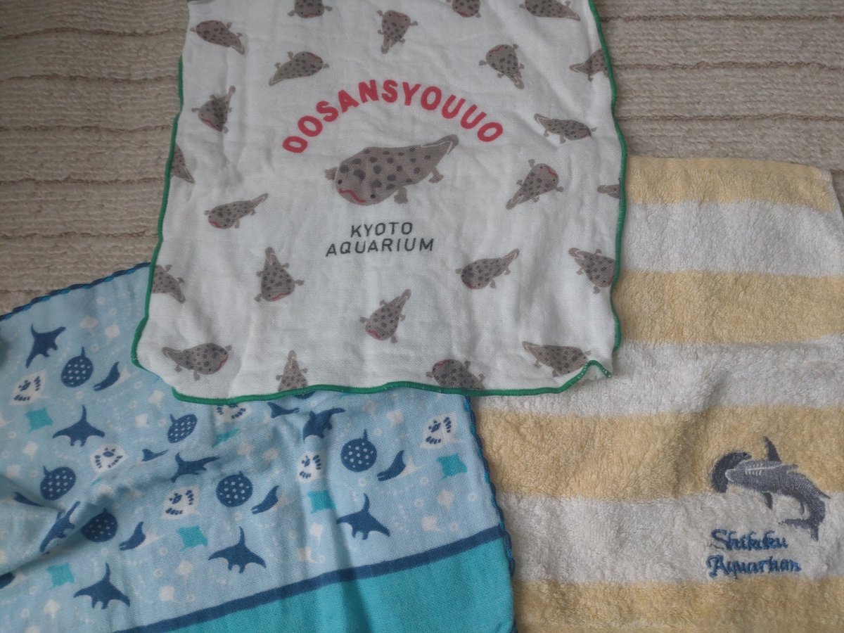dio_osake027's tweet photo. @tan_sui_kabutz 水族館のネーム入りハンカチを集めてしまいます！ネーム入りは置いてない時は柄だけ水族館ぽいものを買うときも😄
その館限定のグッズは行った時のことが記憶に残りやすく、日常の中で楽しかったことを思い出して日々のやる気に繋げています笑 https://t.co/hHQHgp755m