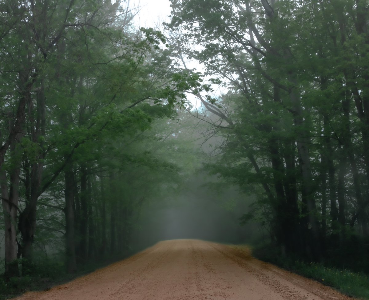 fotogosaurus's tweet photo. Road to Spring https://t.co/2SqPgzRzbX #VT #Vermont #NewEngland #Spring #Green #fog #countryRoad #RoadAhead #moment #wonder #going #RoadTrip #DirtRoad #heartOfTheCounty #ruralLife #ruralLiving #Forward #Backward #Canon #TheWayToWork https://t.co/0vFhjgIoEE