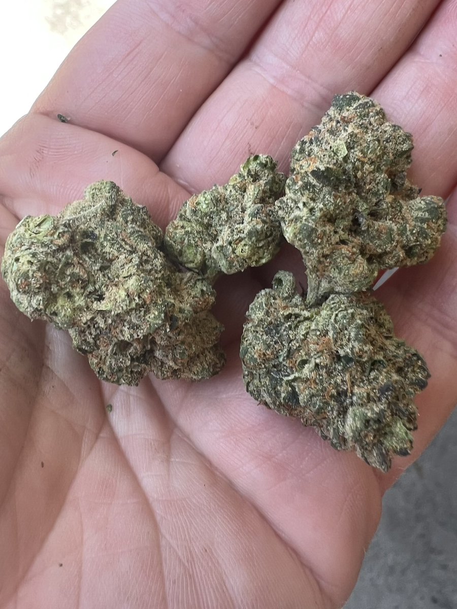 Candy gas face <a href="/carmelcannabis/">Carmel Cannabis</a>