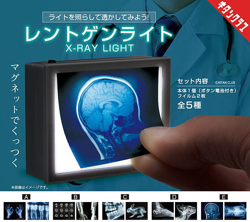 ✨新商品案内 2025年5月17日(土)✨／ ☑️レントゲンライト #キタン