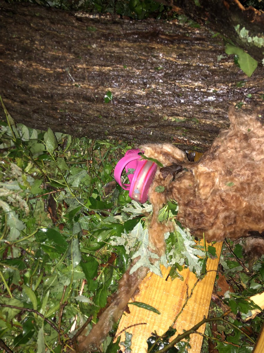 A home is destroyed between Robinson Road and Highway 60 in Morganfield. The homeowner was outside looking at the storm and ran inside to get his family to the center of the home. Everyone is okay despite the significant structure and tree damage. #kywx #tristatewx