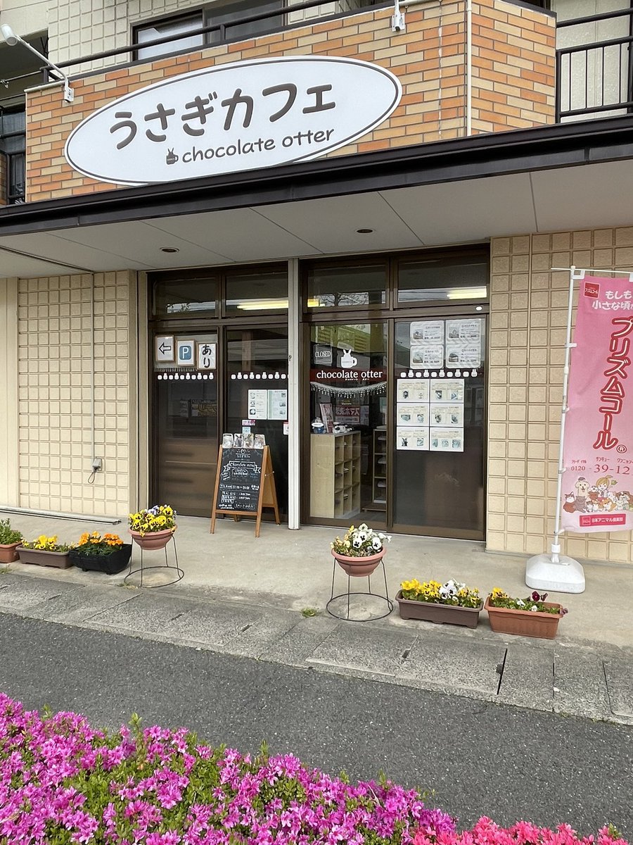 chocolate_otter's tweet image. ≪営業日変更のお知らせ≫
5月19日より当面のあいだ日曜日・祝日のみの営業とさせていただきます。営業時間は12時-18時(最終入店17時)。うさぎホテルは要相談となります。