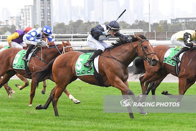 KennewellRacing's tweet photo. Very proud of Madame Maserati after a super win at Flemington.

She has now won 3 in a row and continues to thrive with hopefully more to come.

The ride (watch closely) by @Logez27 was 12/10 and was executed with poise beyond his years.

#bargainbuy https://t.co/U9bO5ZVxIL