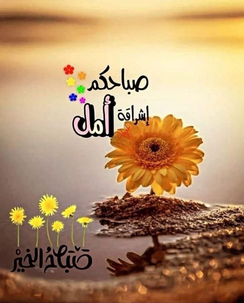ابتسموا للحياة، فالله يُدبّر لكم الأجمل دائمًا.🕊️🤍
#صباح_الخير