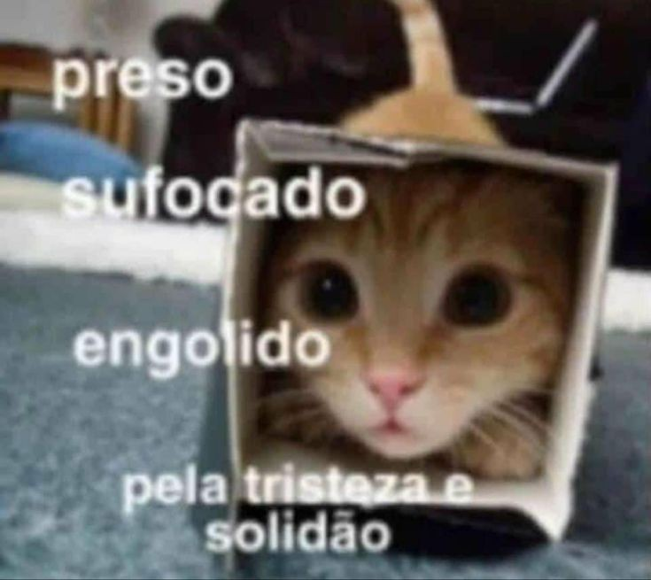 odeiootaco's tweet photo. https://t.co/dmNyfUe7uM