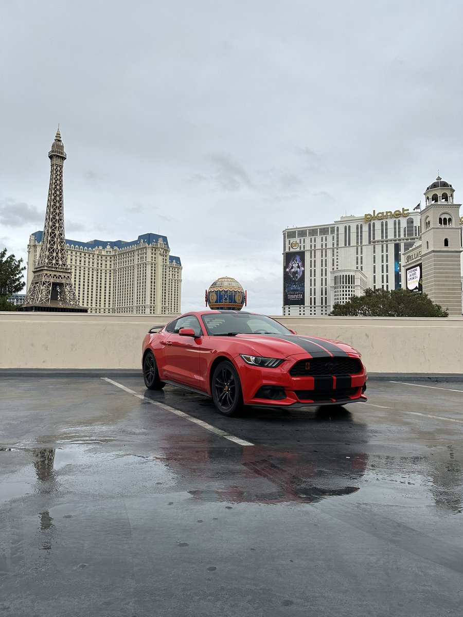 OG3Wayne's tweet image. People can say it’s dumb all day to be upset about a car… but it was more than just a car. 

It was my first manual car, it was my first car I bought without a co signer, and its final duty was to protect me.. shit sucks lowkey :\