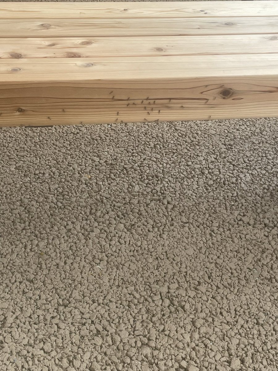 Amo / あも tweet media