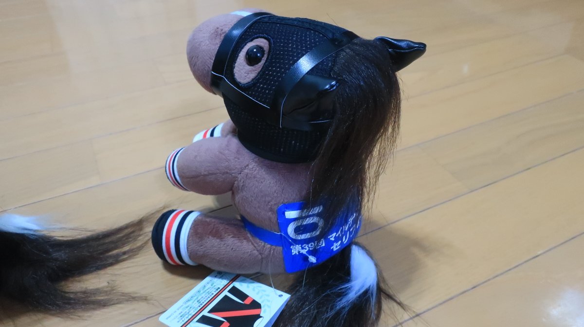 セリフォスさん、毛色がちょいオシャレ

#アイドルホース