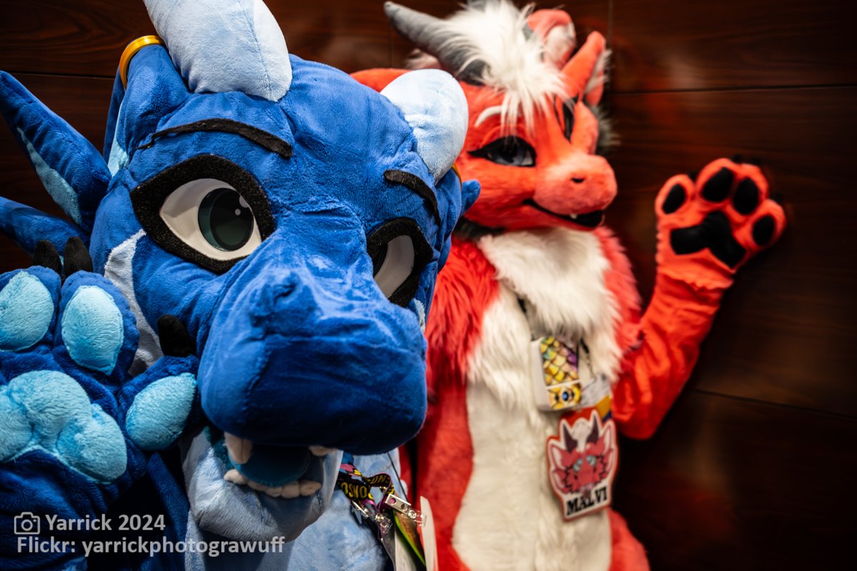 Furry Migration (@furrymigration) on Twitter photo Room Party applications for the upcoming Gala are officially open! Don't miss your chance to be a part of the magic if you want to help us make #FurryMigration 2025 one to remember. 
Applications are open until July 15th, so don't delay! furrymigration.org/events/room-pa… Room Party applications for the upcoming Gala are officially open! Don't miss your chance to be a part of the magic if you want to help us make #FurryMigration 2025 one to remember. 
Applications are open until July 15th, so don't delay! furrymigration.org/events/room-pa…