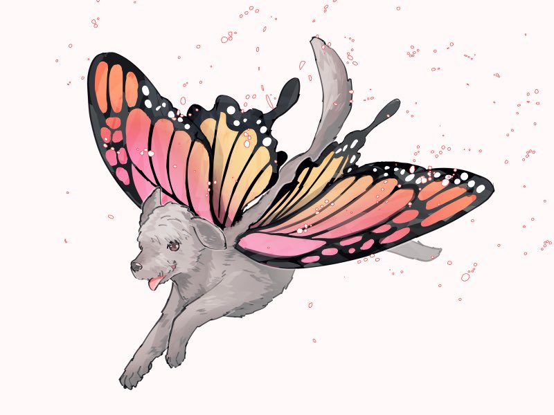 miaowpudding19's tweet image. ？