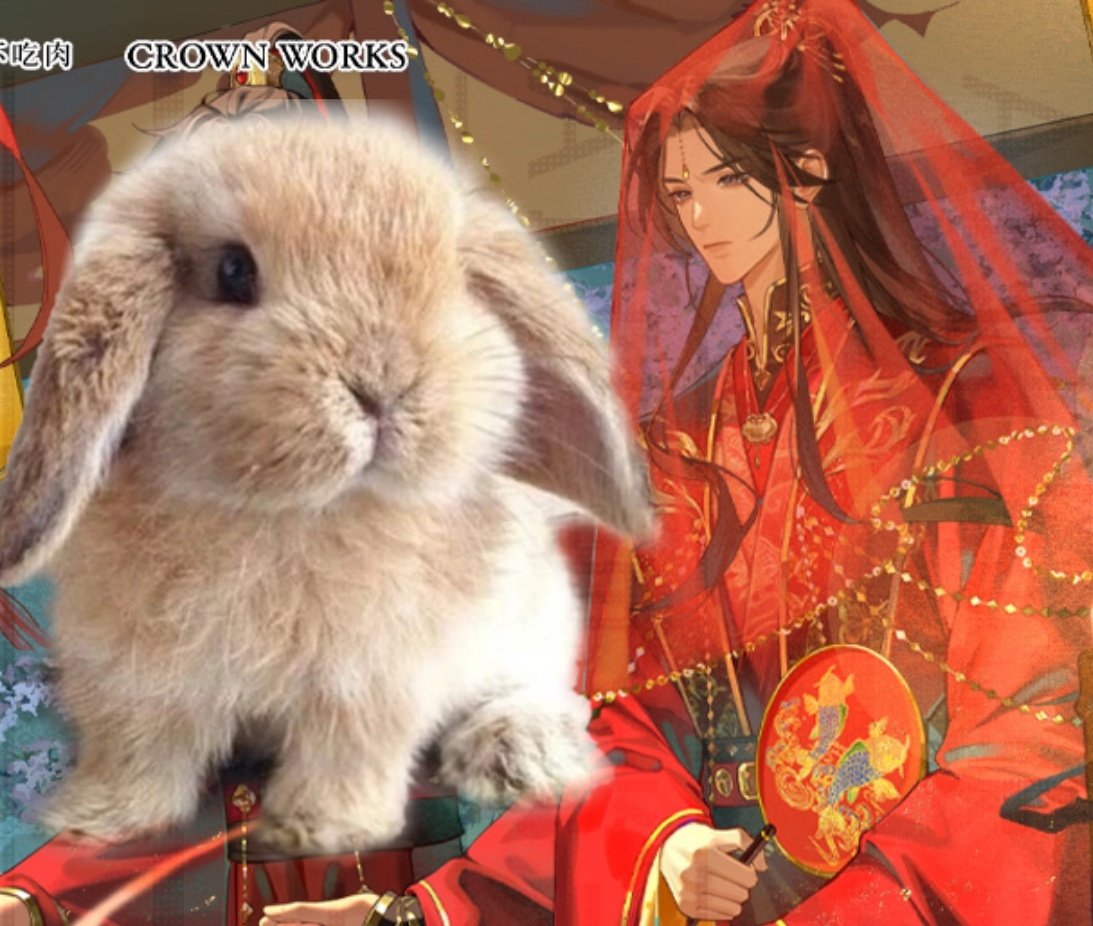 BNUUY! ૮꒰˶ᵔ ᵕ ᵔ˶꒱ა tweet media