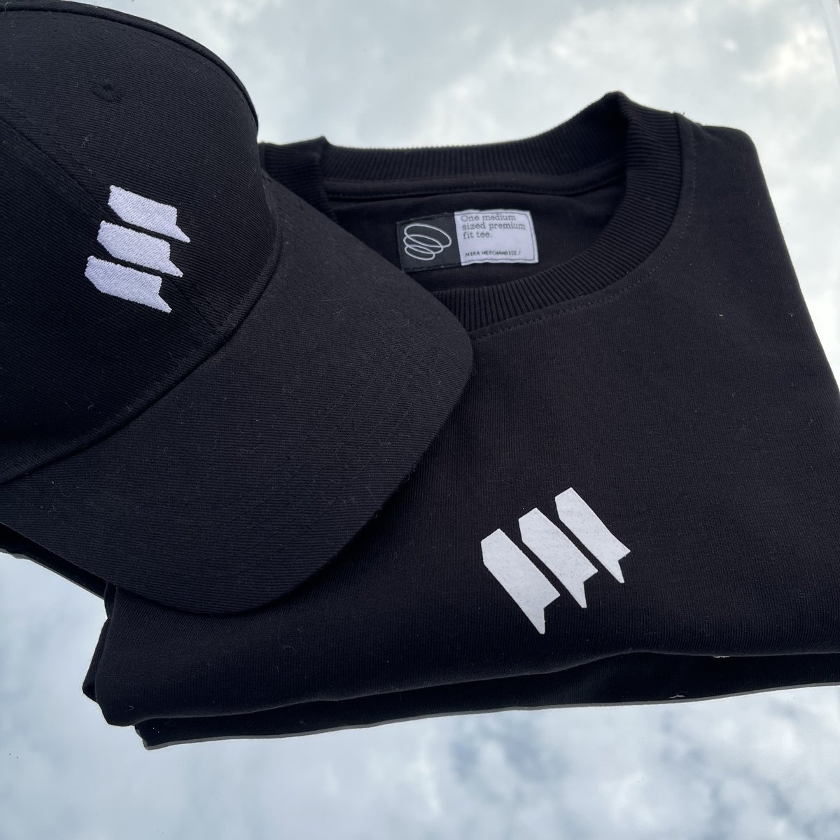 Want some merch?

Comment "VERIFY".

One lucky person gets it shipped to their doorstep.