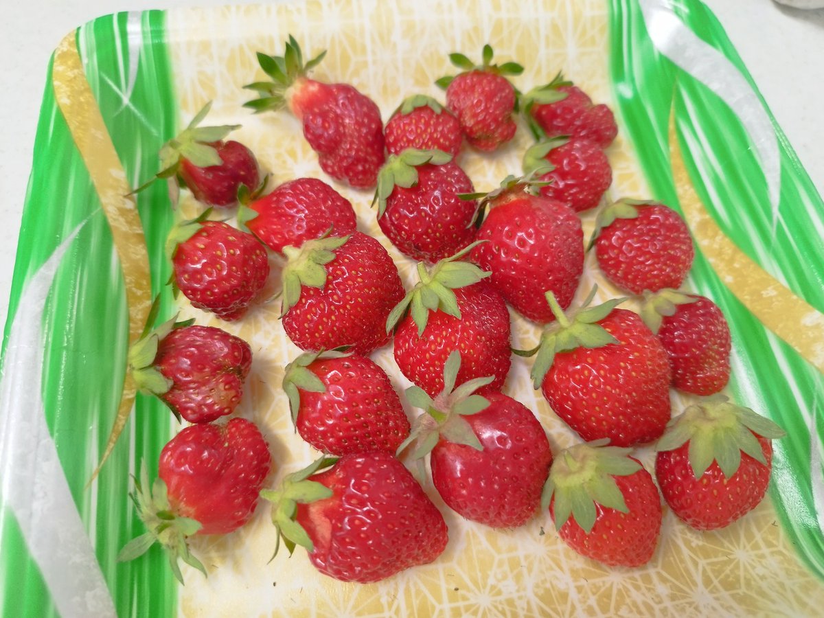 Atsuko-ele910n／Rio tweet media