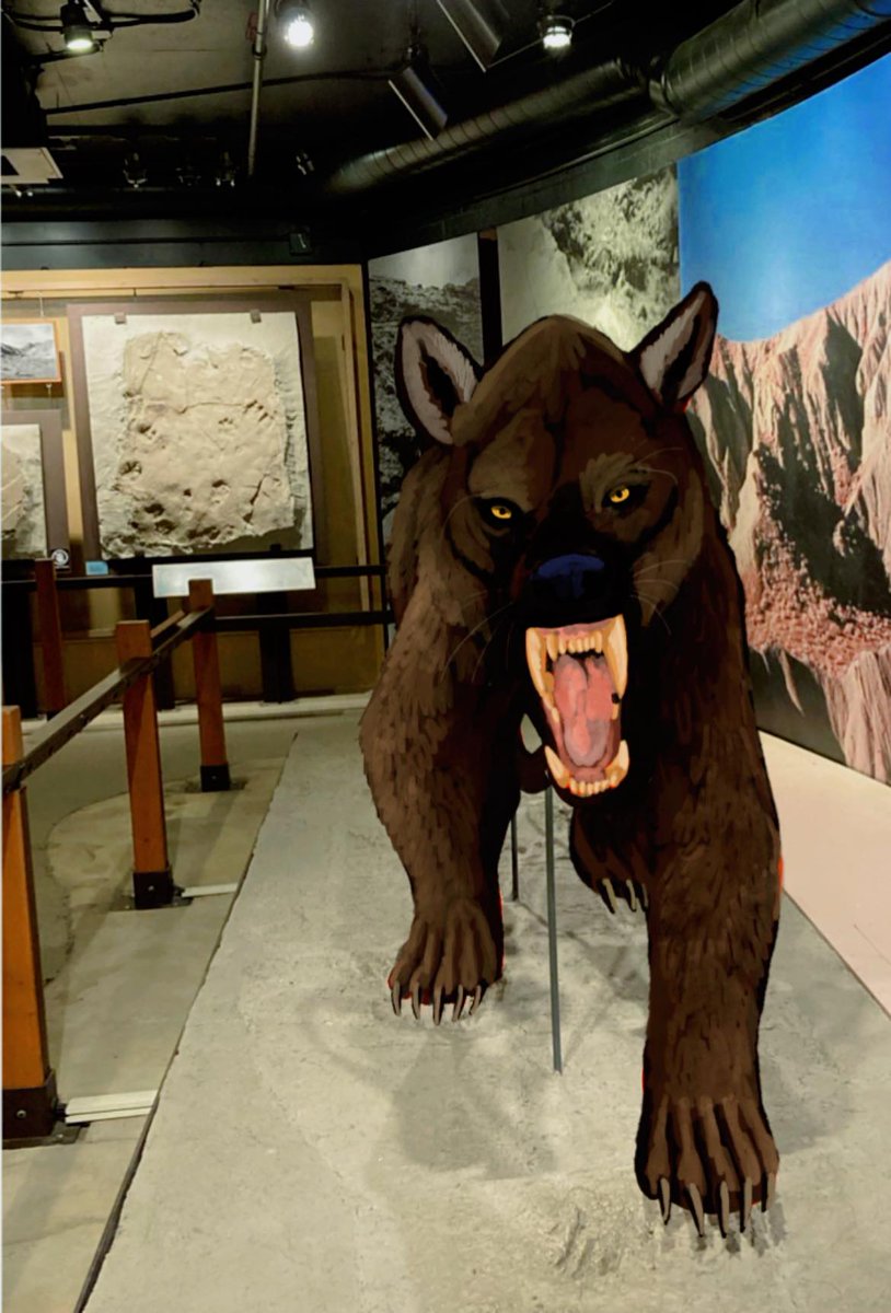 Hodari Shadowalker ❄️🐆 tweet media