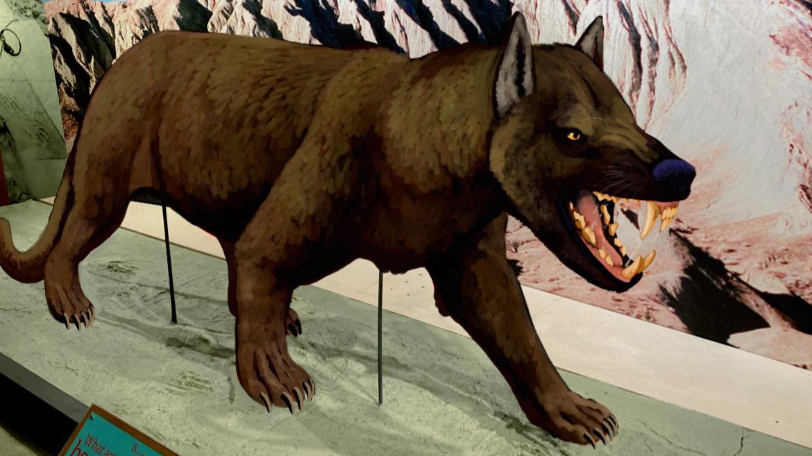 Hodari Shadowalker ❄️🐆 tweet media