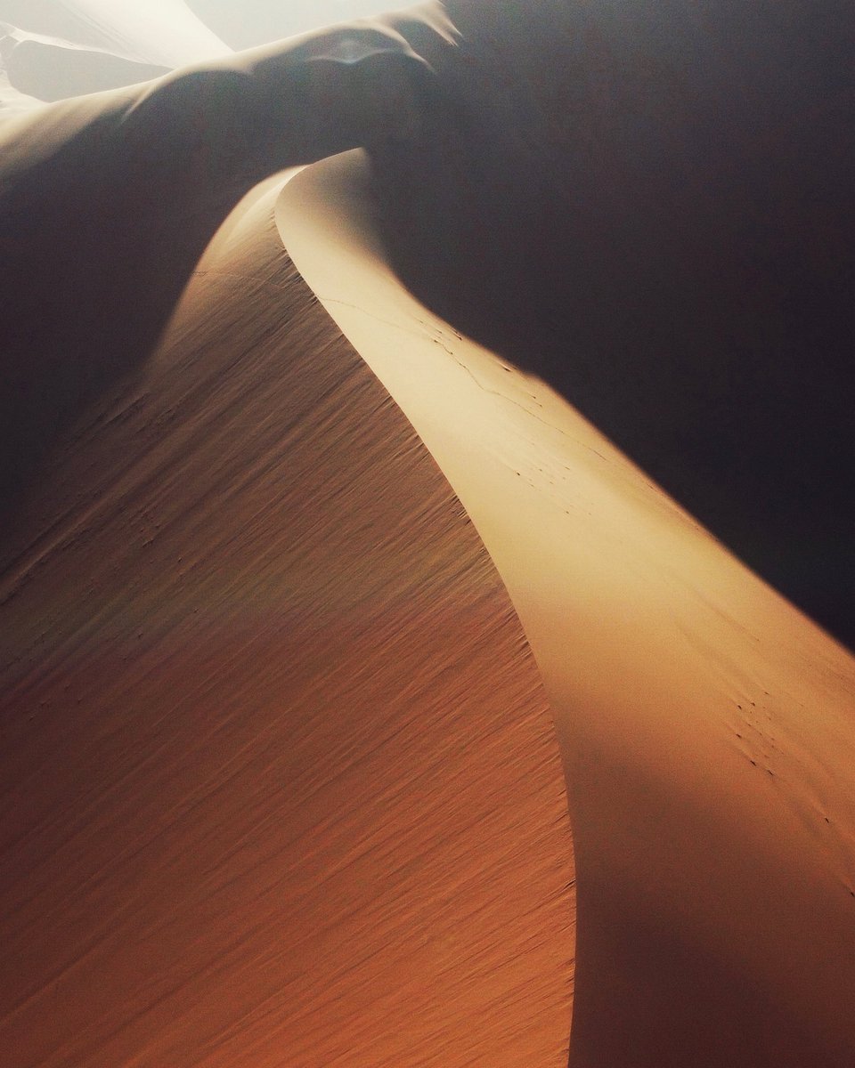 Morning Desert Lovers