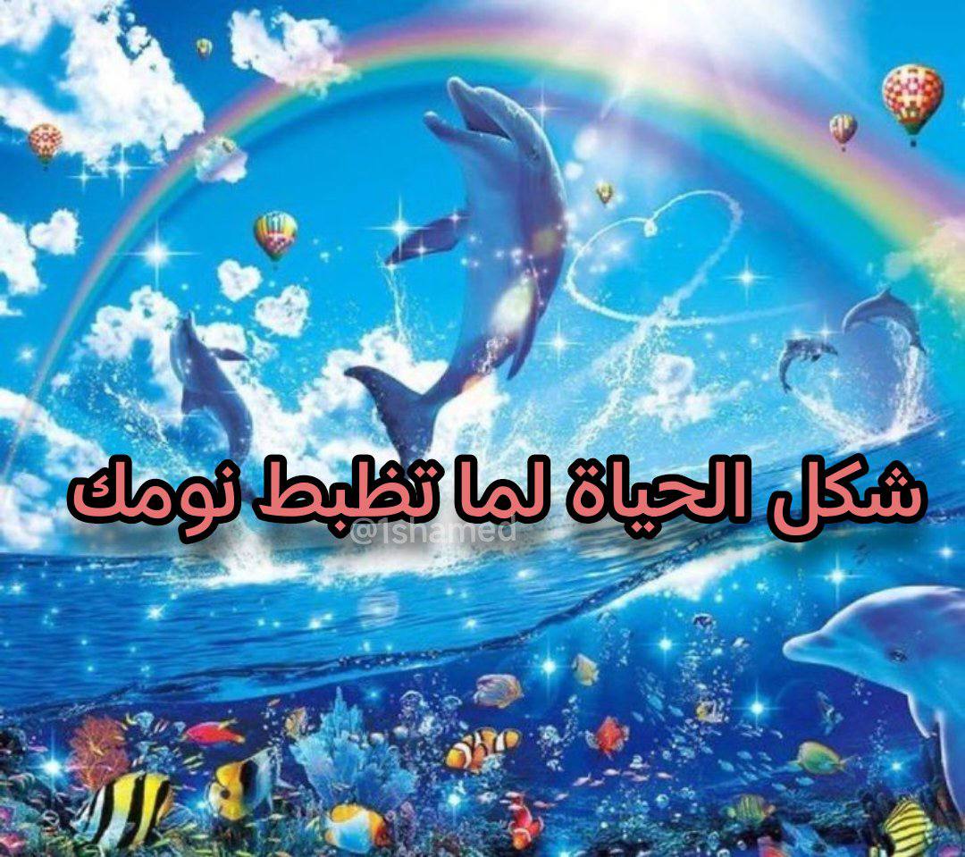 True Memes (@truememes_) on Twitter photo 