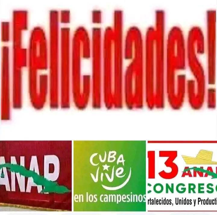 La Comisión Político-Ideológica, en el XIII Congreso de la Asociación Nacional de Agricultores Pequeños (ANAP), destacó el rol protagónico de las mujeres y la juventud en la revitalización de las cooperativas, la lucha contra el éxodo rural y la construcción .
#ANAPCuba
