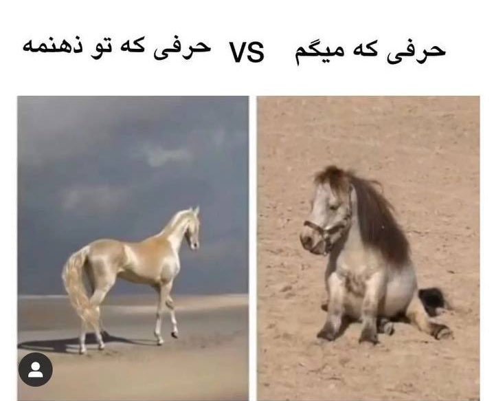 همه همینیم: