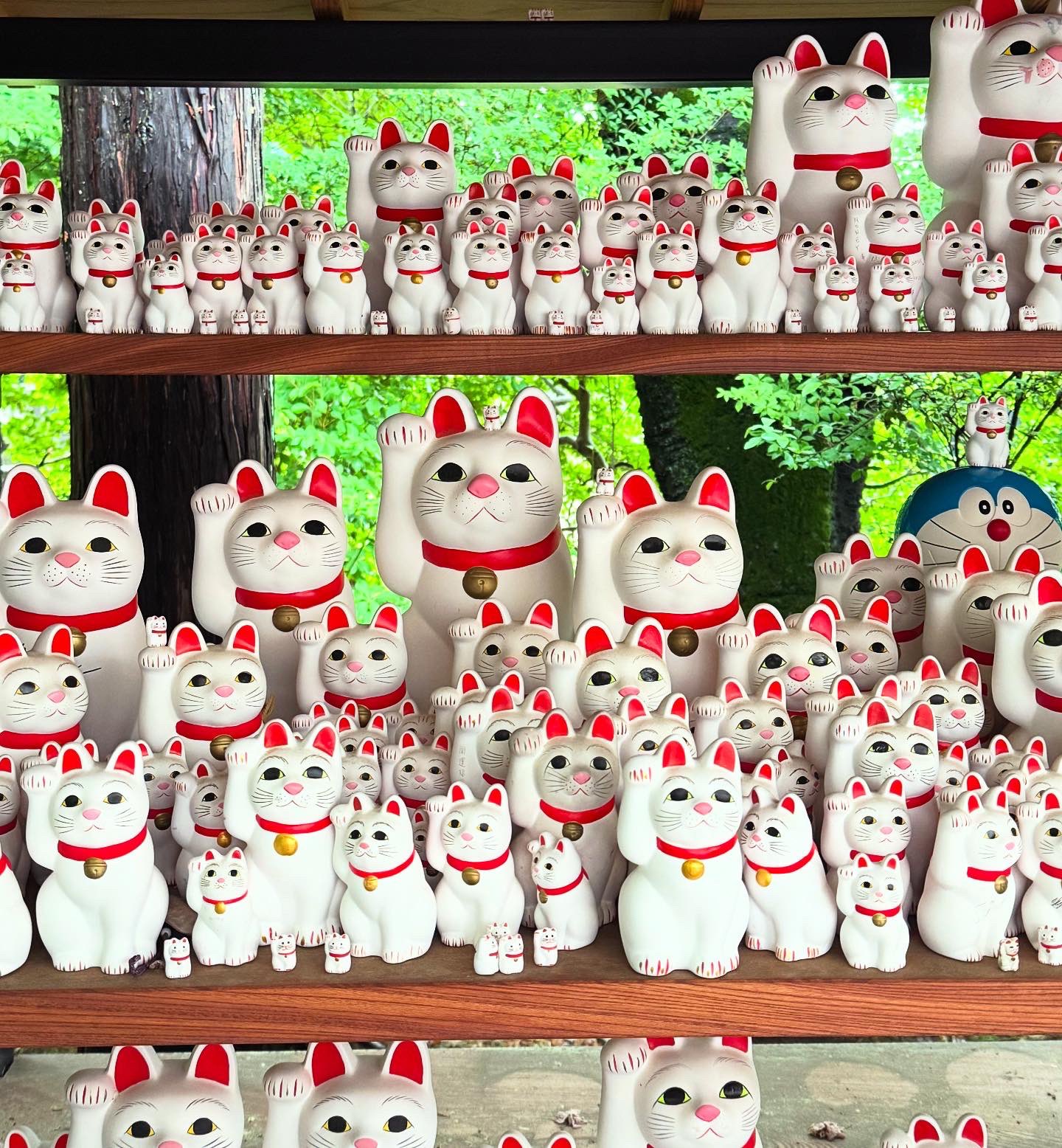 深水賀秀　ネコ Bibian 比比昂 - 【SHIN】深水賀秀 猫 木版画 9枚セット 直筆