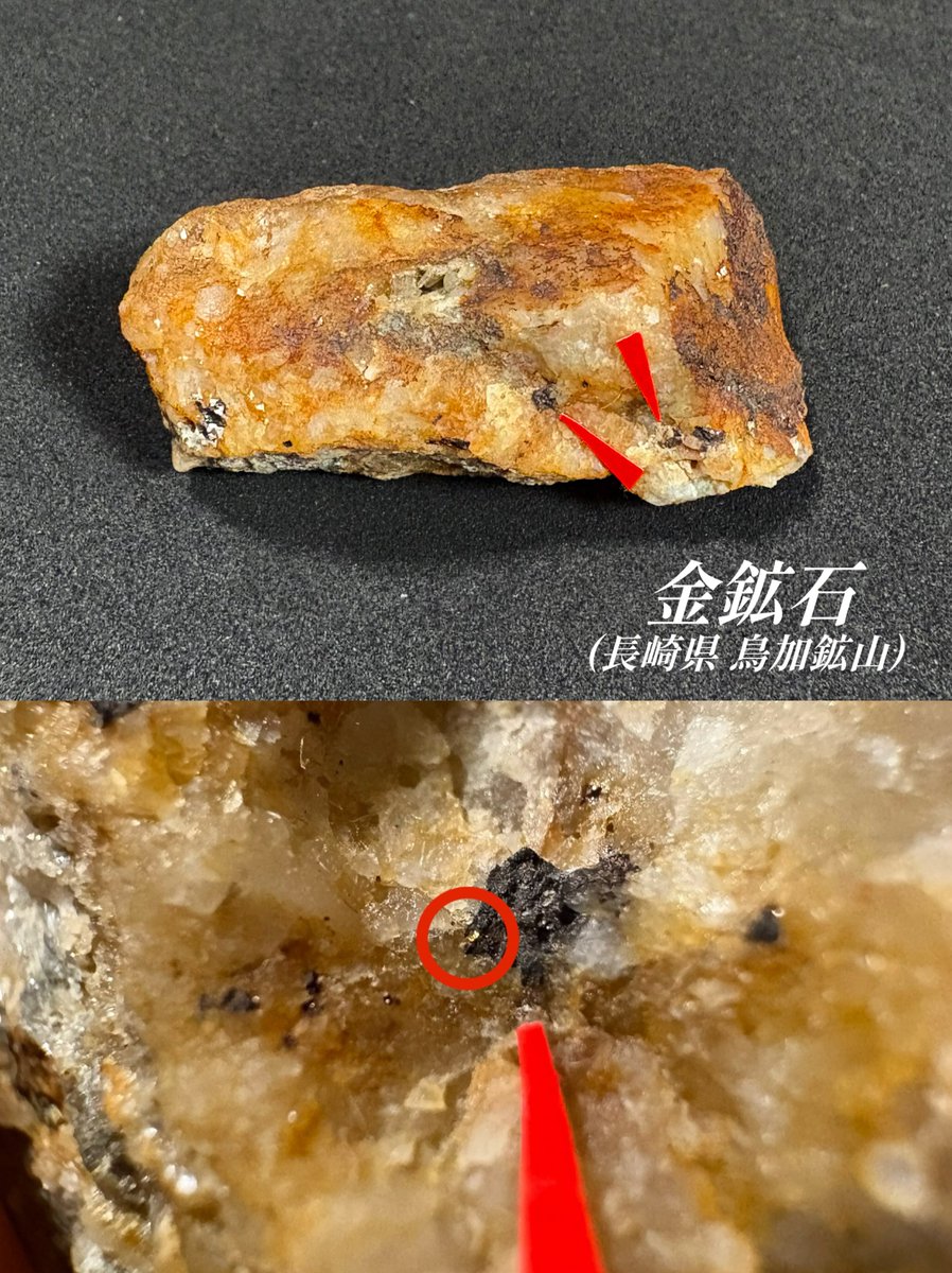 砂金　金　都市鉱山 長崎県 鳥加鉱山の自然金 ここの自然金の特徴は武石(黄鉄鉱が褐鉄鉱に
