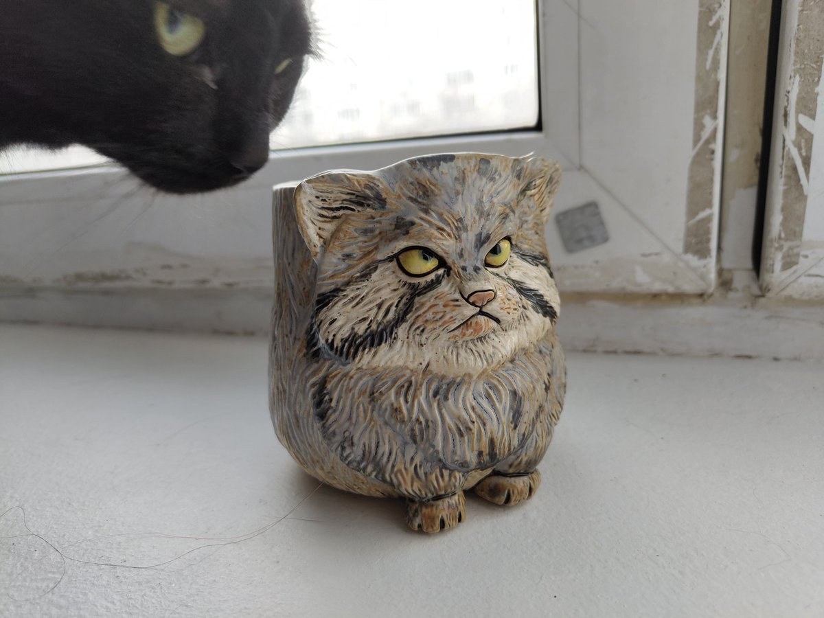 Это было 7 килорублей, но у него лапьки! Хвост! Жпкт!