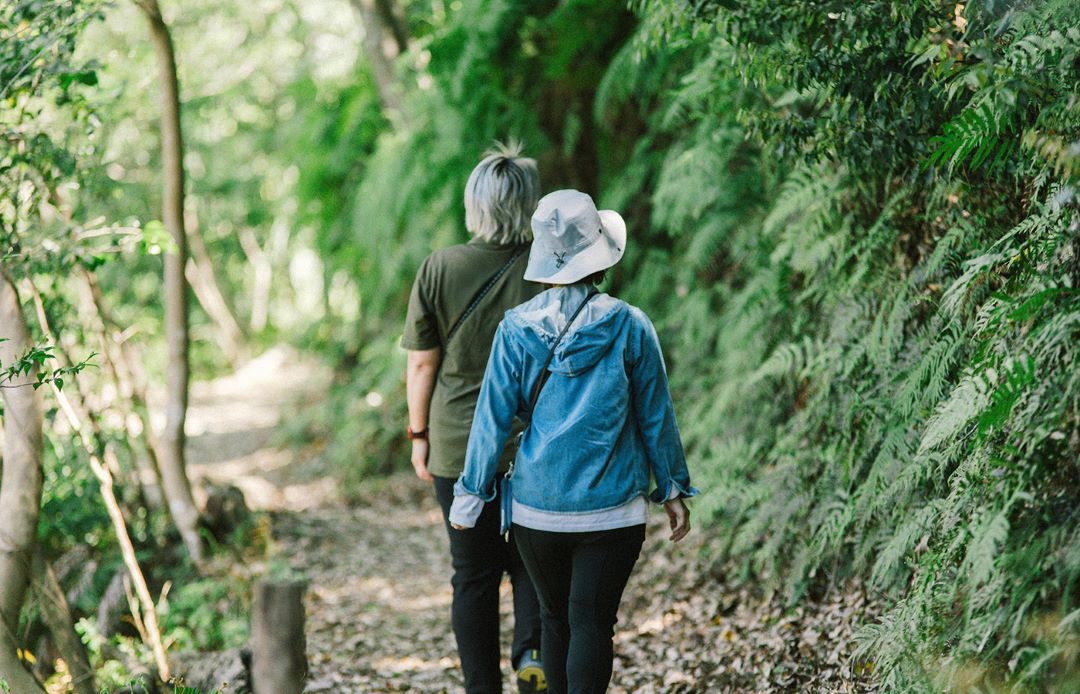 VISON公式 tweet media