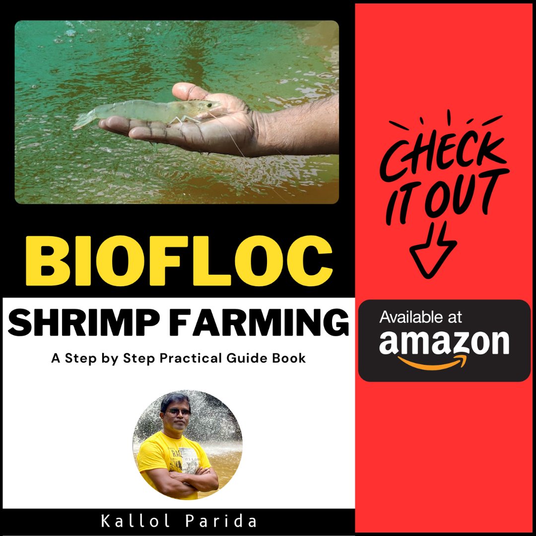 kallolparida's tweet photo. 📚✨ It's finally here! My new book, Sustainable Shrimp Farming using Biofloc Technology, is now live on Amazon!
I poured my heart and soul into this project, and I’m beyond excited to share it with you.
Check out the link! 👉 https://t.co/1UNKSLJGJ7 https://t.co/VaBcfAe9rE