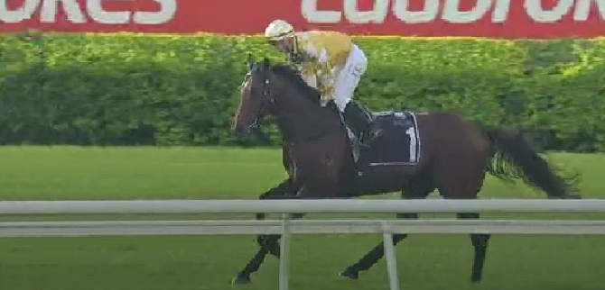 Sir Delius (Frankel x Whatami) makes an impressive Australian debut winning the Gr3 Chairman's Handicap. 

He was very strong late. He is a such a gorgeous fella.