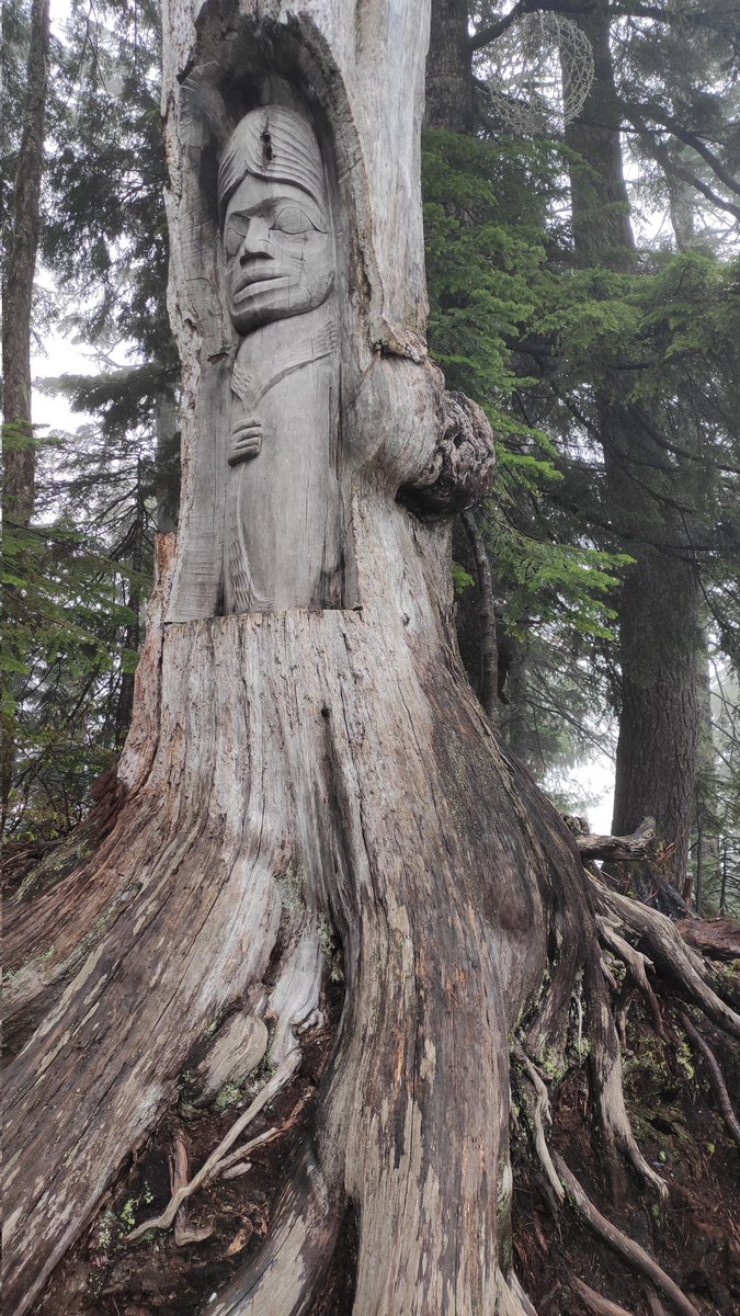 mme_hansen's tweet photo. Great #ProDDay at #GrouseMountain today! Thanks to our guide Lisa &amp;  William Nahanee, member of the Squamish Nation for working with us. #Indigenous #IndigenousEd #Squamish #BCEd #BCEdChat #Reconciliation https://t.co/S0oXutQe5w