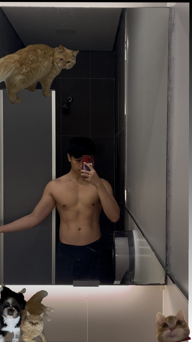 MaruReynes's tweet image. Meow