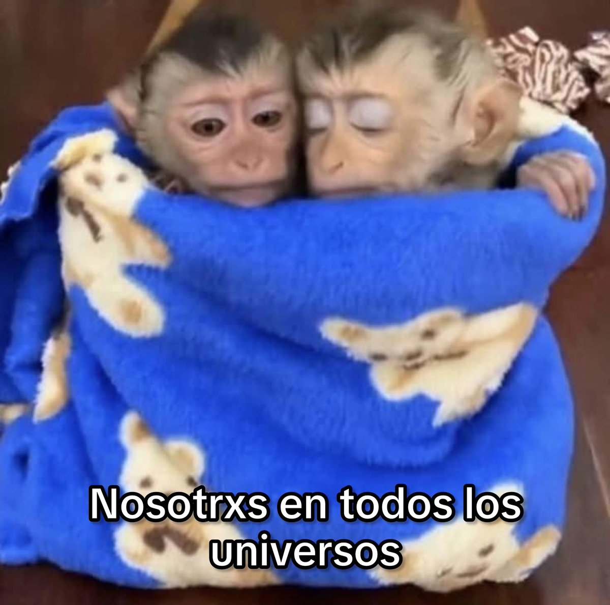 Asies mailob.