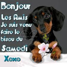 Bonjour à tous les gentils. Bon début de week-end à ceux qui peuvent se reposer. Profitez du soleil quasiment partout. 
Prenez soin de vous, des autres, et des animaux 
🥰