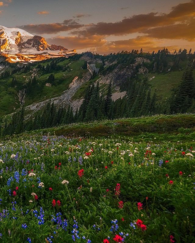 aestheticwabi's tweet image. 