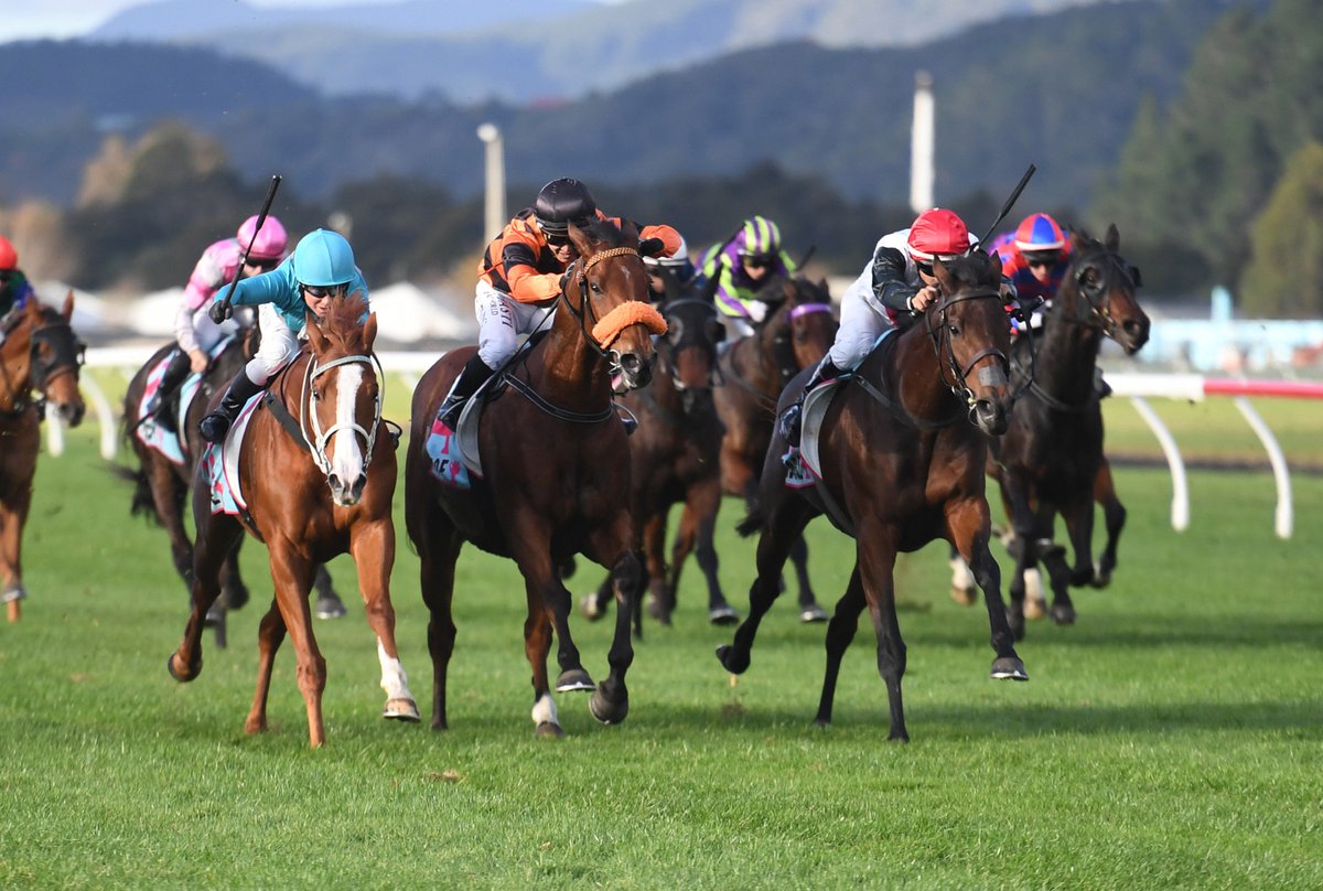NEWS: Brazilian jockey Bruno Queiroz made his mark in New Zealand stakes company, lifting Francee to a brave win in the Listed James Bull Rangitikei Cup (1600m) at Trentham.
racingnews.co.nz/queiroz-and-fr…
