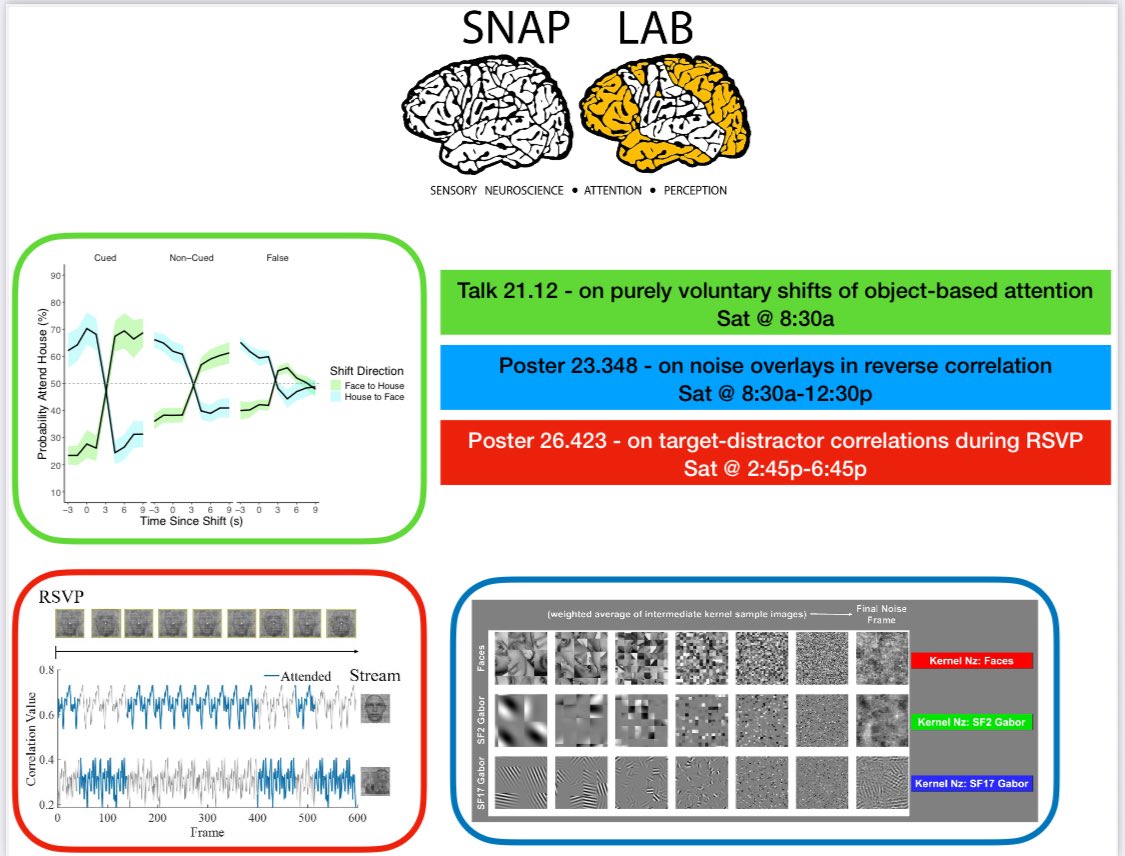 SNAP Lab (@SNAPLab.bsky.social) (@snaplabmcw) on Twitter photo If you’re looking to be efficient this year, come see all 3 of our #VSS2025 SNAP Lab presentations, all on Saturday! <a href="/VSSMtg/">VSS Meeting</a> <a href="/MU_MCW_BME/">Marquette & MCW Joint Dept. of Biomedical Eng.</a> If you’re looking to be efficient this year, come see all 3 of our #VSS2025 SNAP Lab presentations, all on Saturday! <a href="/VSSMtg/">VSS Meeting</a> <a href="/MU_MCW_BME/">Marquette & MCW Joint Dept. of Biomedical Eng.</a>