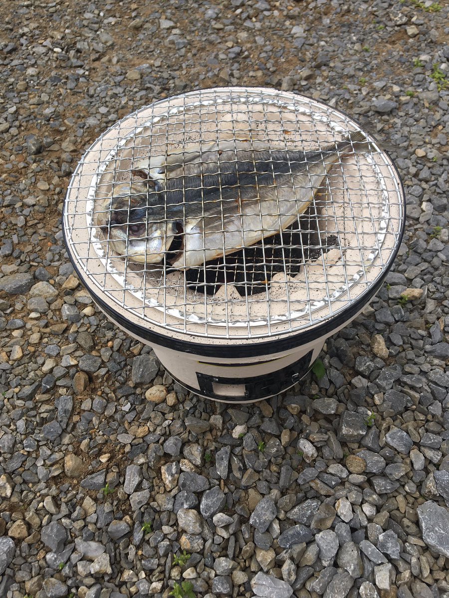 七輪買ったら、魚焼き係に任命された😟
楽しいから良いんだけどさ🐟