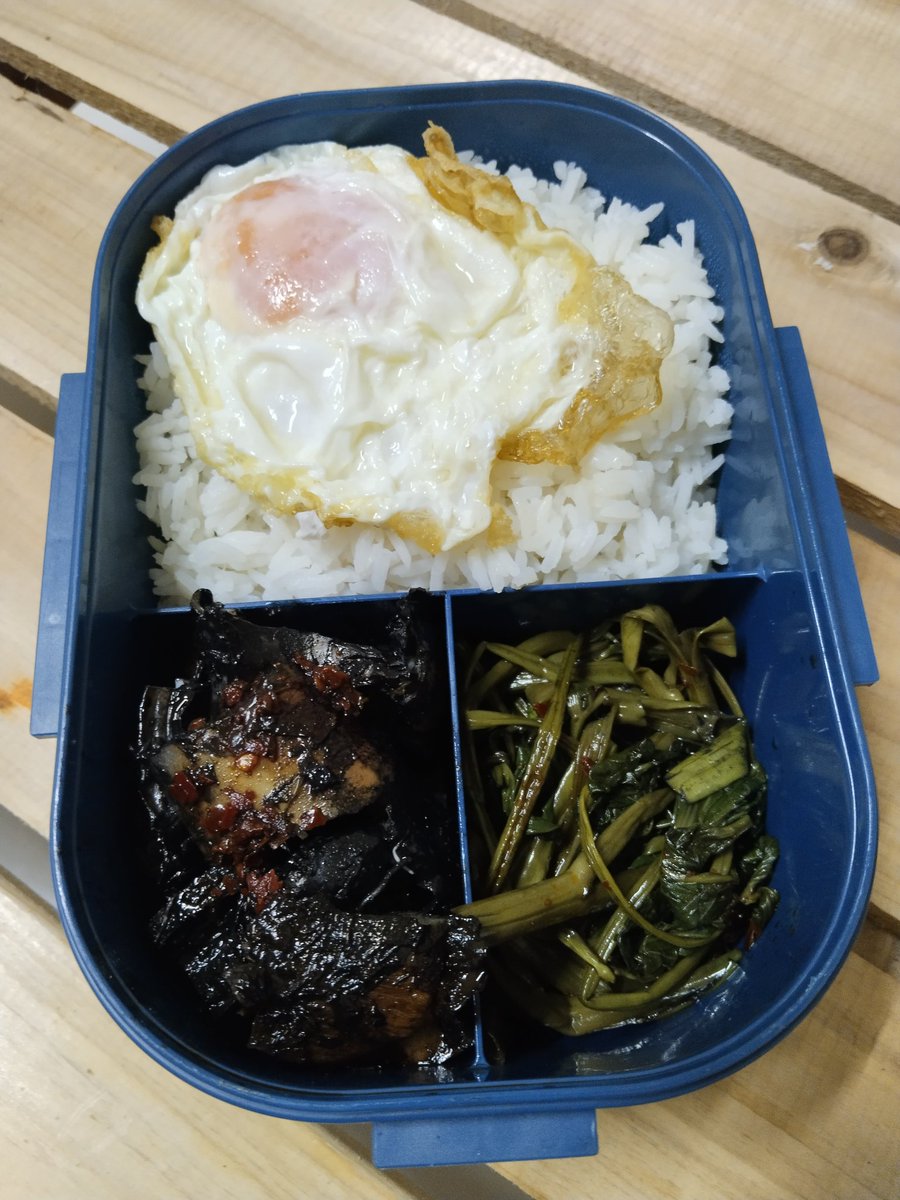 Lenz0819's tweet image. Sa KWARTO na KAININ ung BAON for Lunch!😍❣️
Time Checked: 3:30 pm

#adobongpusit #adobongkangkong #friedegg
