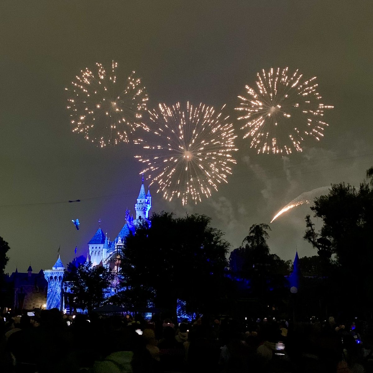 DAPs_Magic's tweet photo. Wondrous Journeys is back for #Disneyland70. The first night of the popular fireworks spectacle filled the skies with Disney magic.
#dapsmagiclive https://t.co/VlMq7Cm9g3